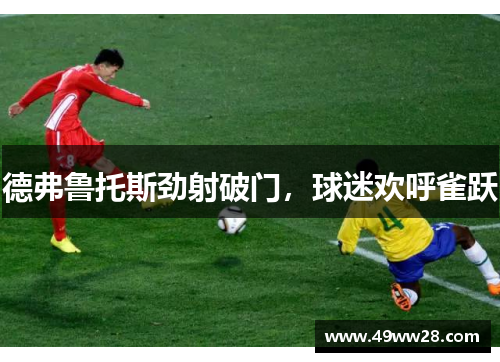 德弗鲁托斯劲射破门，球迷欢呼雀跃